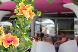 flores en el restaurante