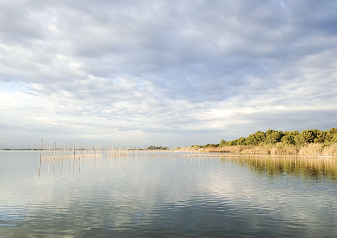 W-ALBUFERA-paisaje