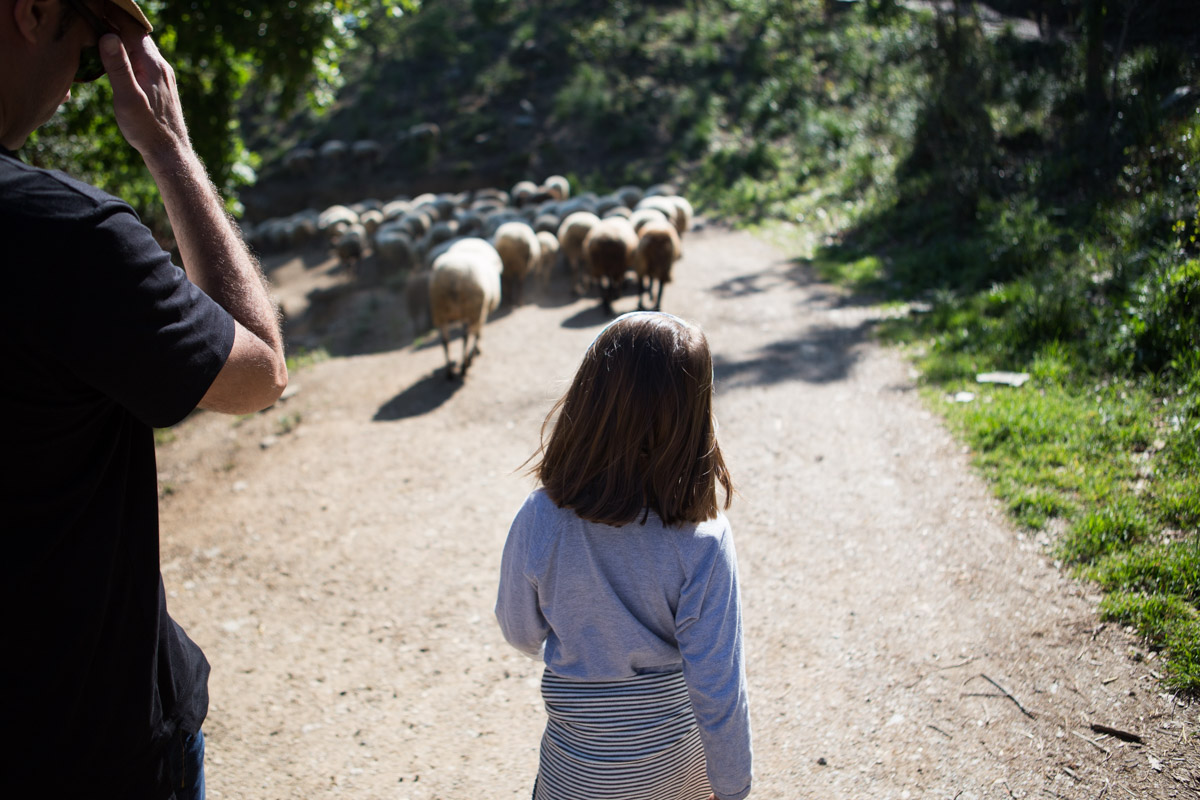 pasturando-baix-llobregat-mesbcn-mammaproof