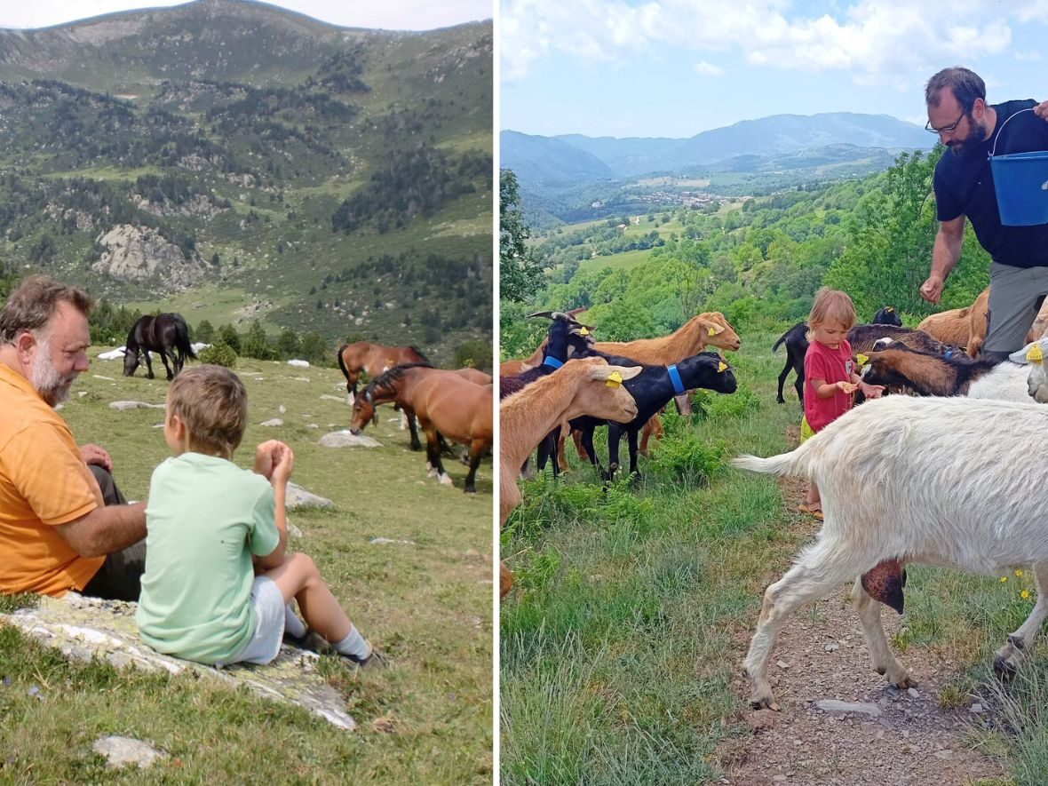 Granja Can Pastoret visita con niños