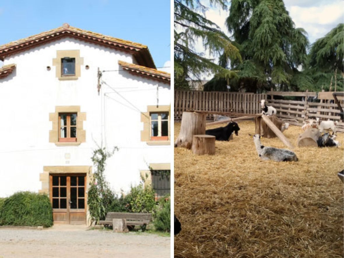 granja Mas Casablanca visita con niños