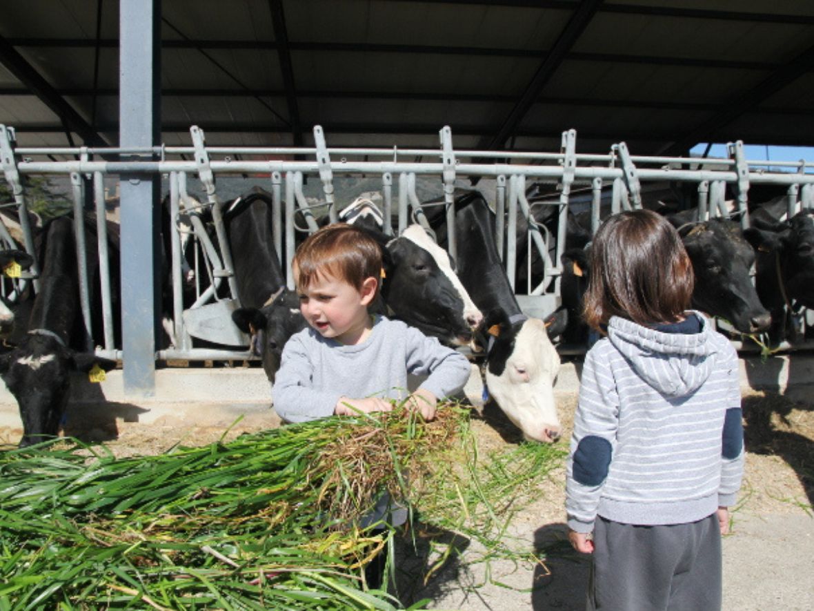 Granja Mas Coromina visita con niños