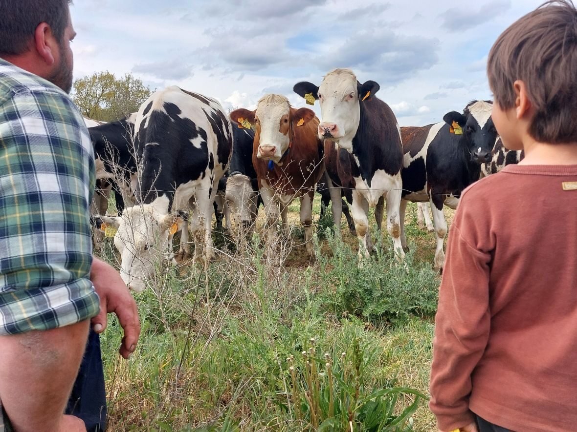 Granja el Soler de n'Hug visita con niños