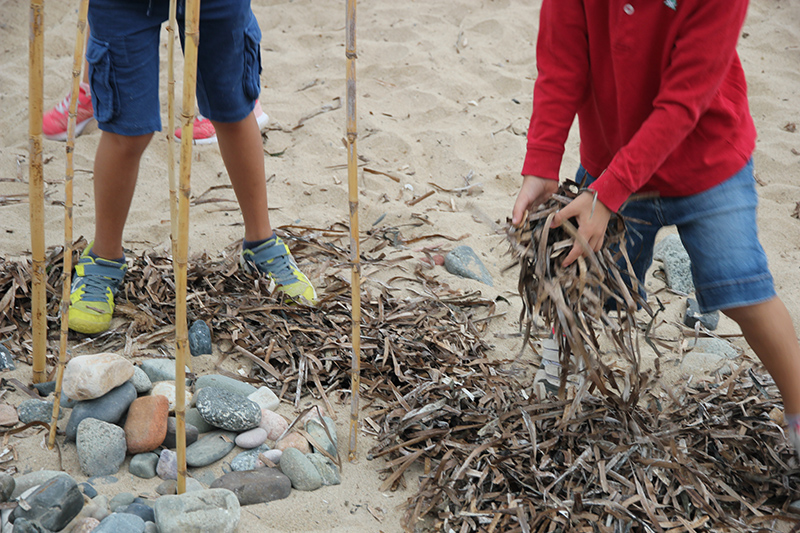 Actividad en la playa de la pixerota