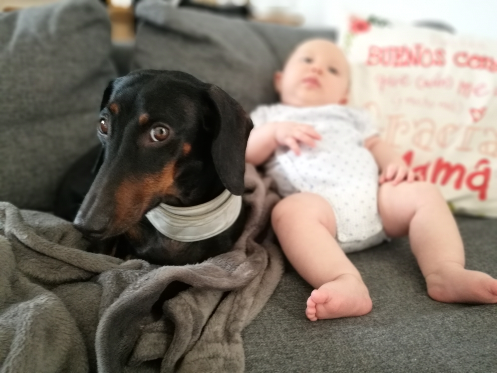 Familia y mi con perro en casa - Mammaproof Barcelona