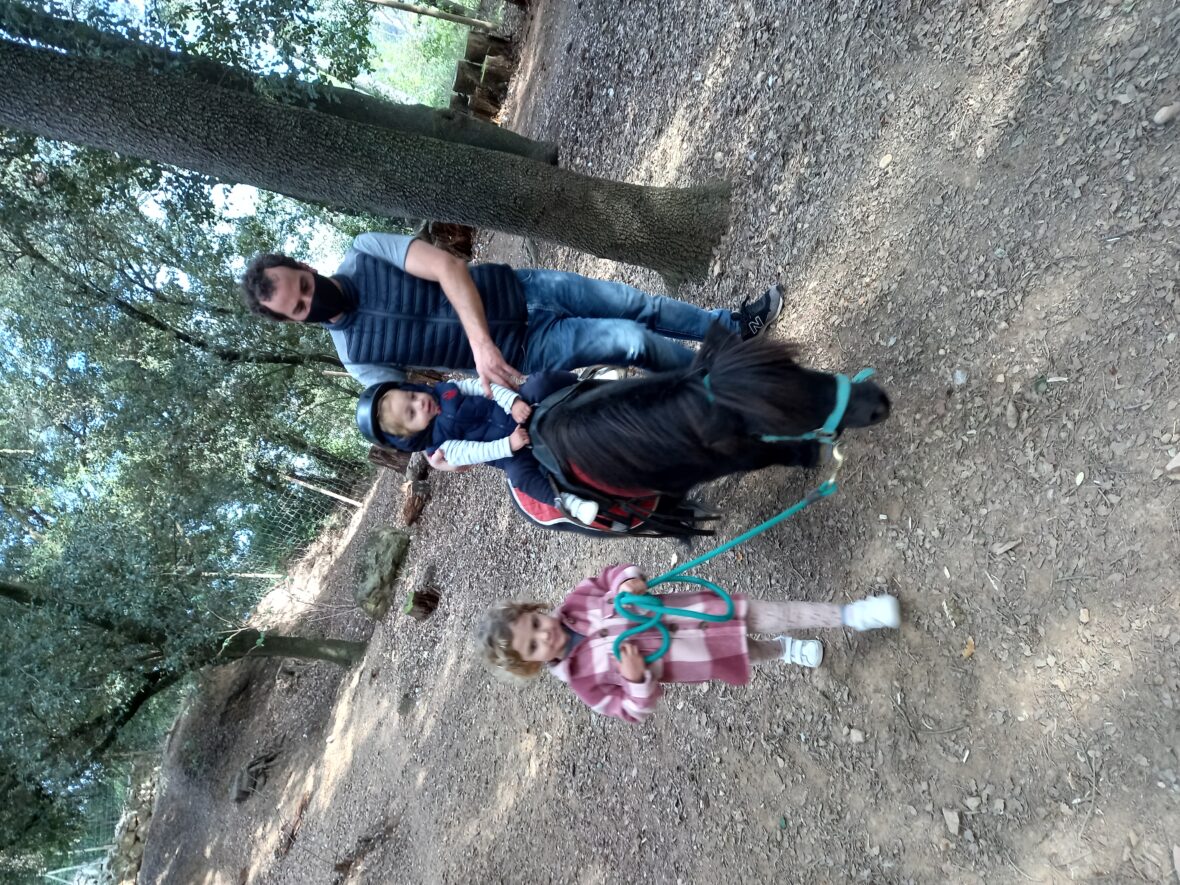 Paseo en poni