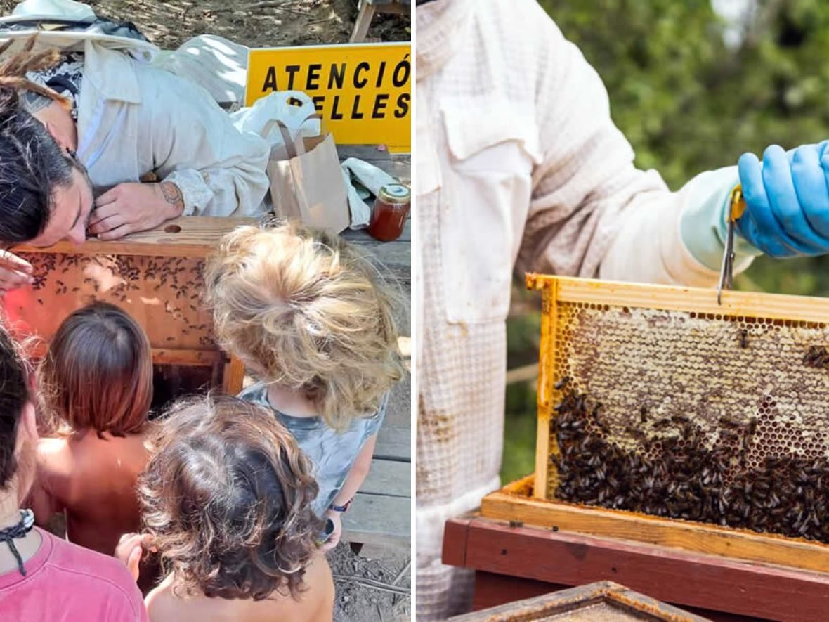 Melvida conservación abejas collserola con niños