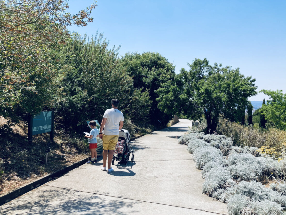 jardin botanico barcelona