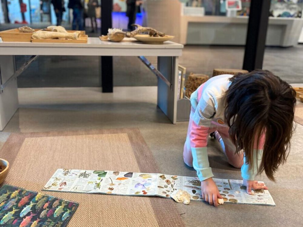 museu ciencies naturals planes niños