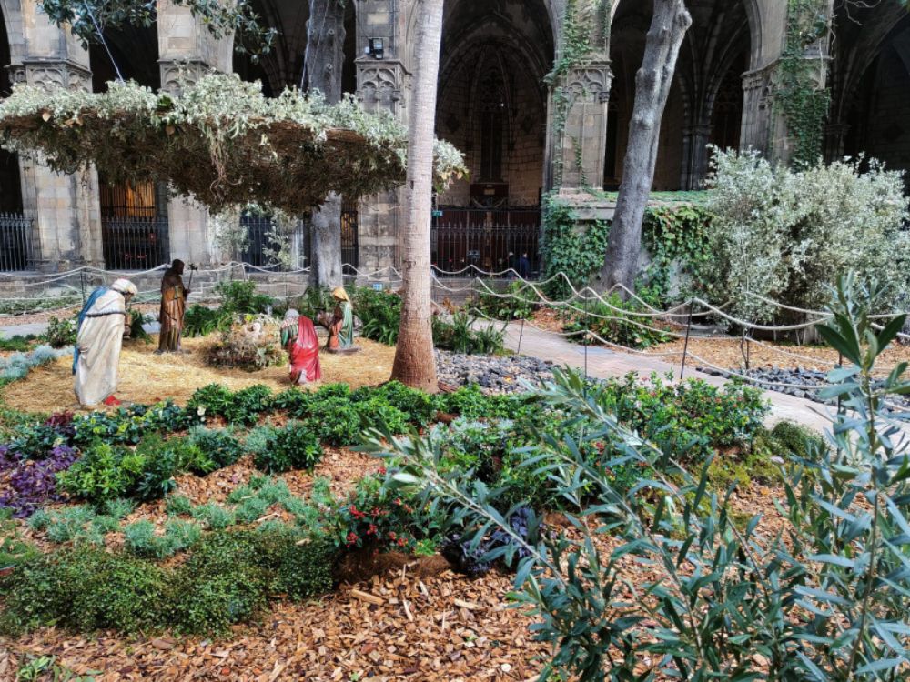 Planes navidad niños barcelona pessebre catedral