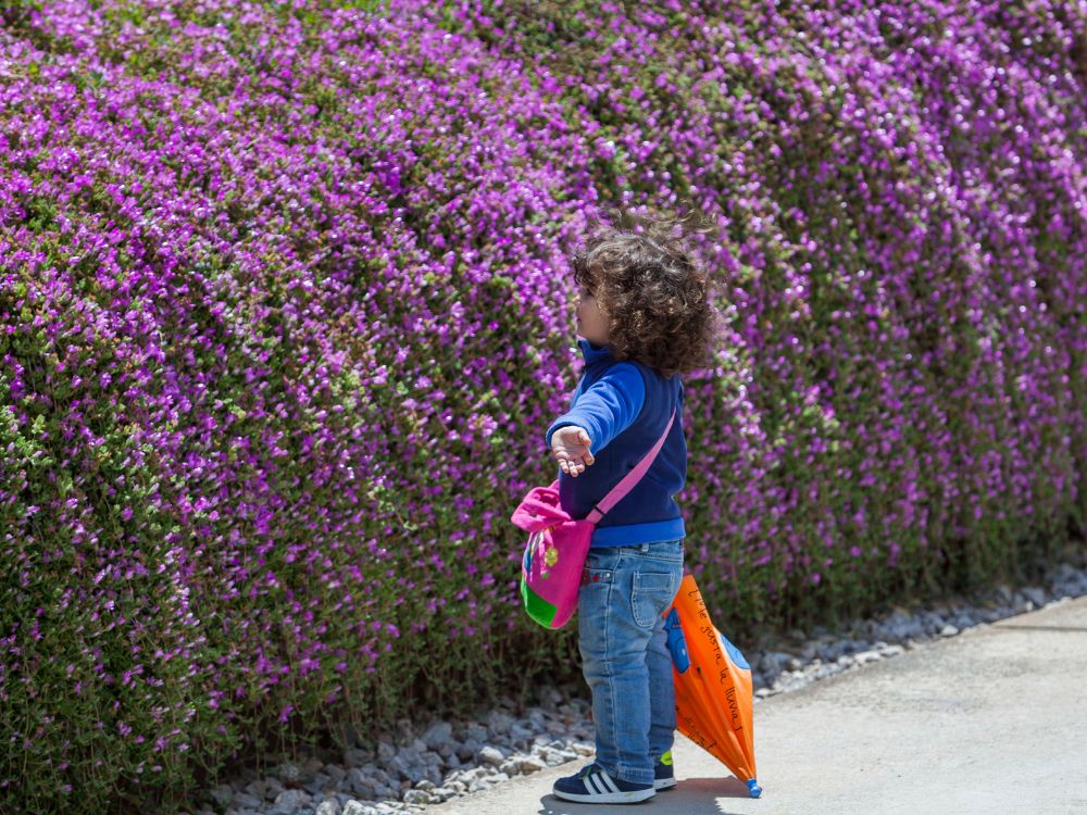 jardin-botanico-2