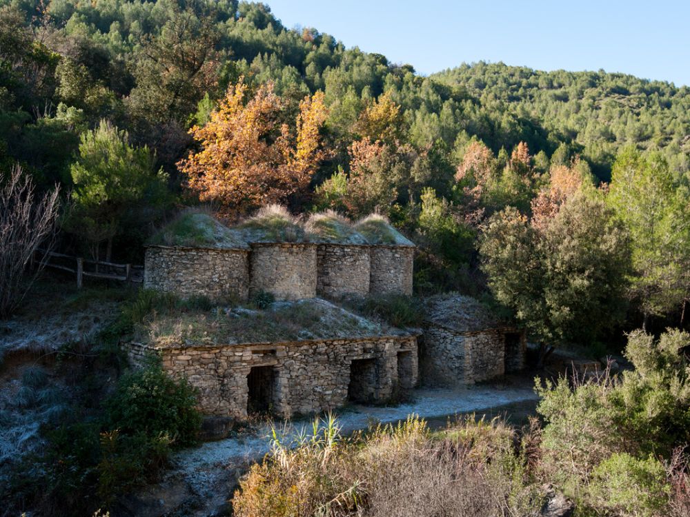 experiencias enoturismo barcelona familia