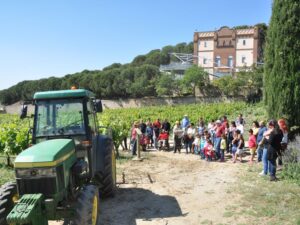 experiencias enoturismo familia cerca barcelona