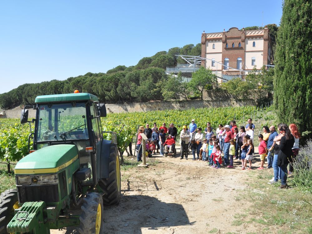 experiencias enoturismo familia cerca barcelona