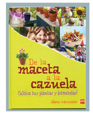 de-maceta-cazuela