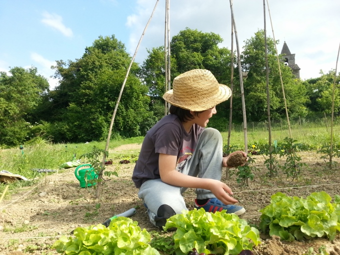 Plantada de l'hort del càmping (680x510)