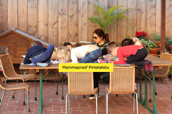 mammaproof pintatelotu