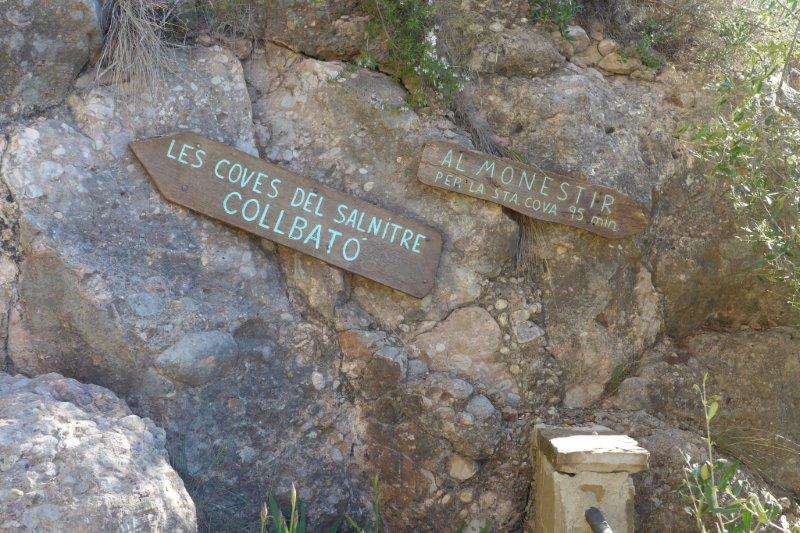 coves montserrat