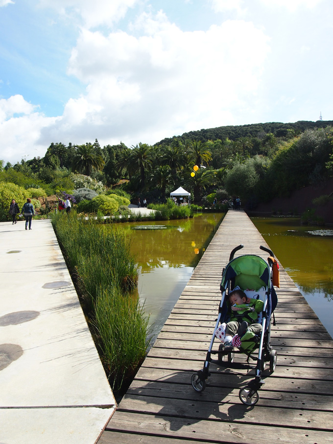 jardin botanico talleres