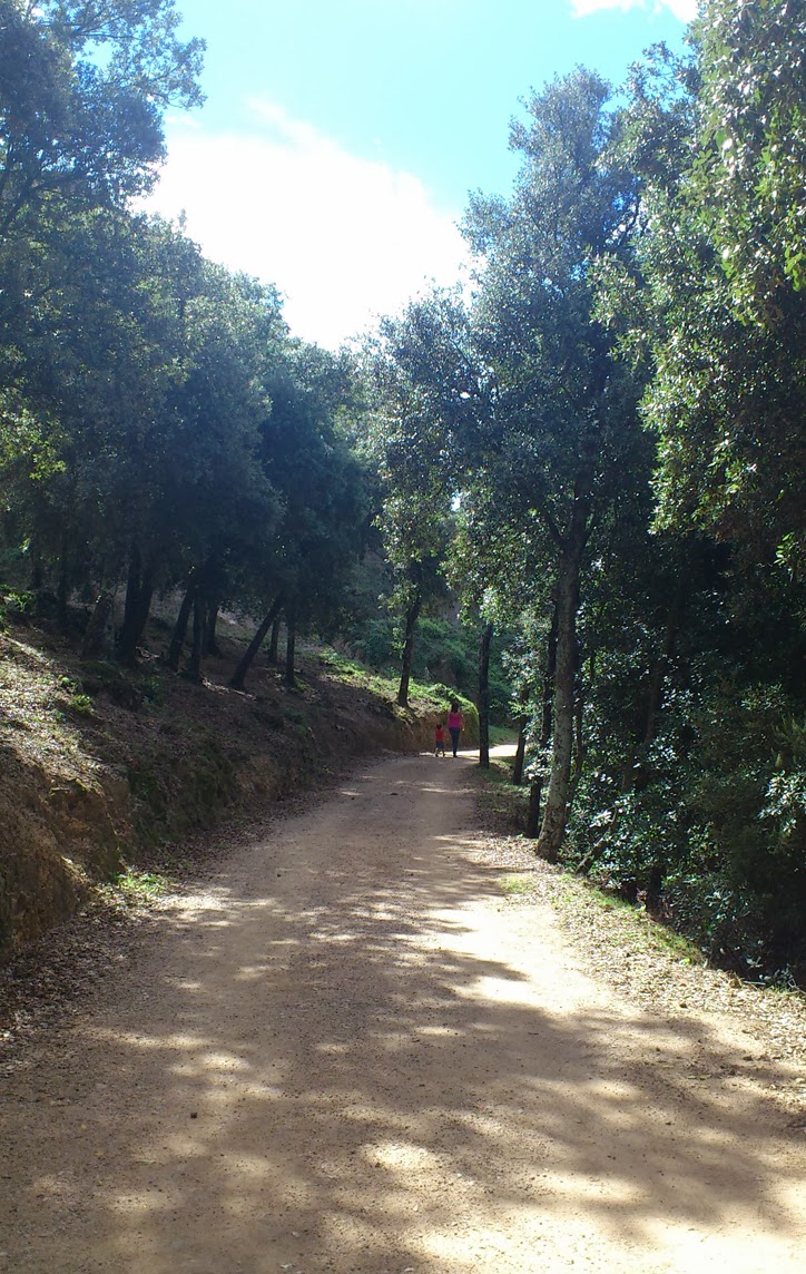 pasear-montseny