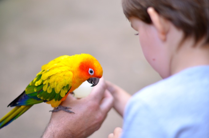 Butterfly park 1