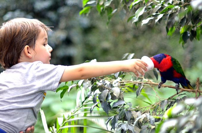 Butterfly park 8