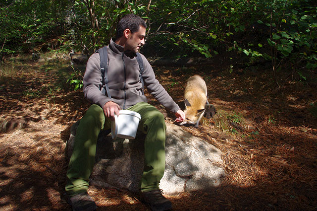 MonNatura_zorrilla