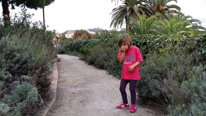 plantas aromaticas cosmocaixa