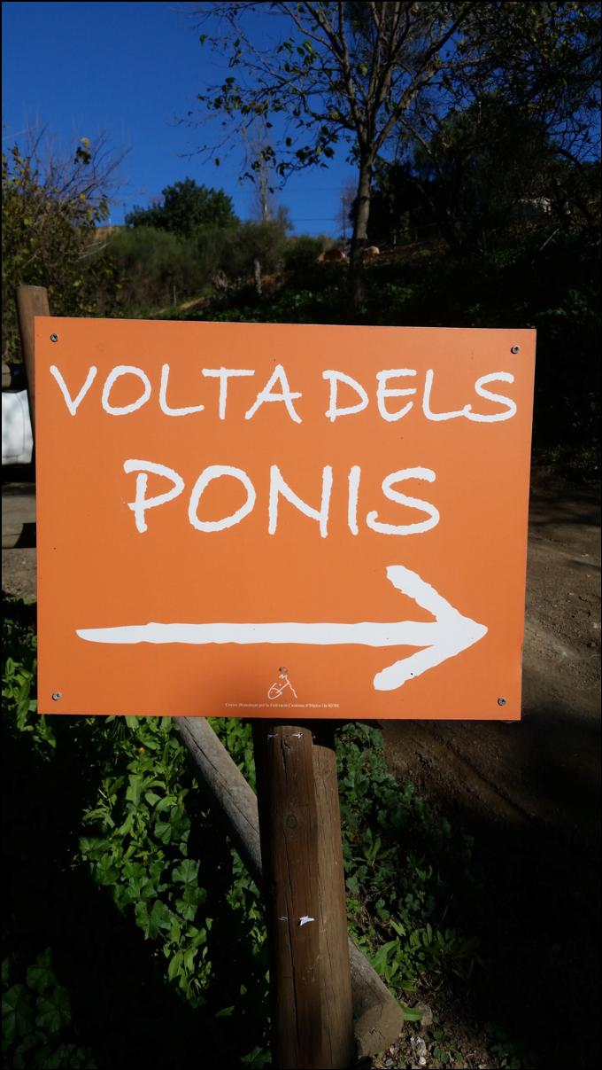 vuelta de los ponis