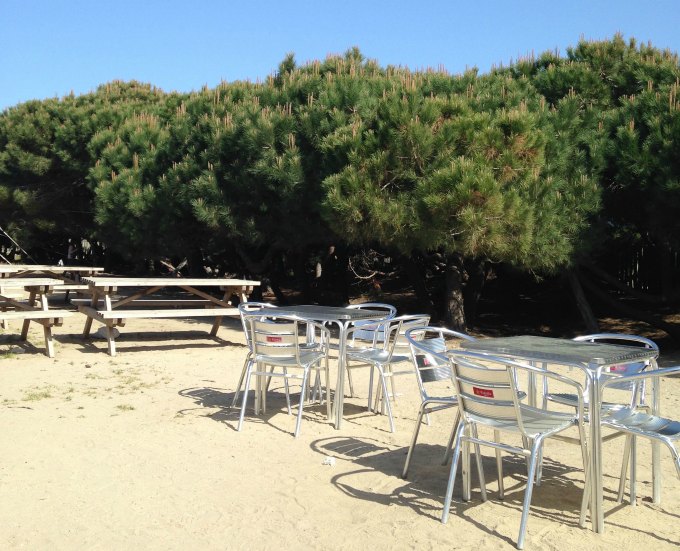 picnic-terraza-bosque-de-juego