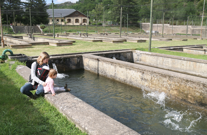 piscifactoria-aiguestortes