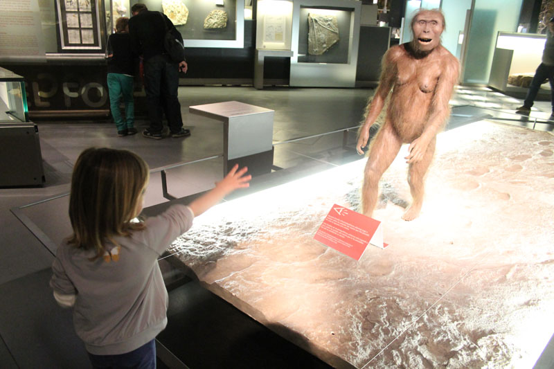 cosmocaixa Lucy sala materia