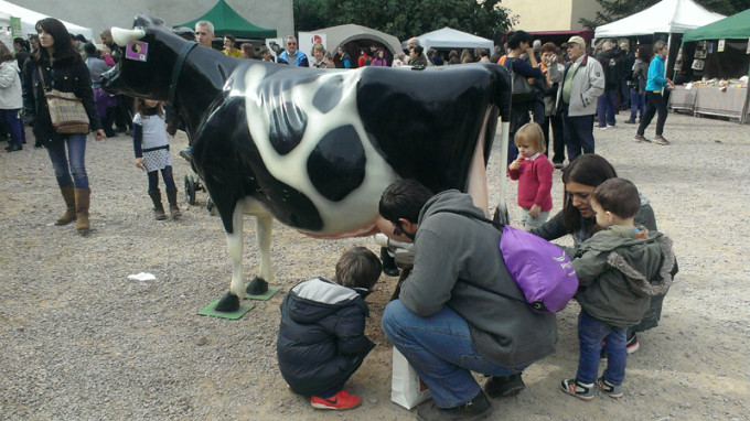 feria castana viladrau