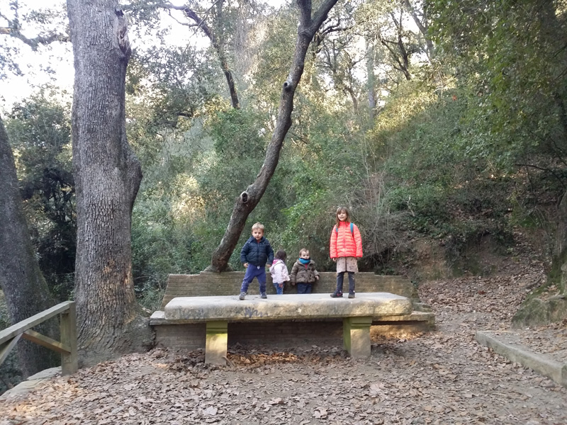 mesa excursion ninos collserola