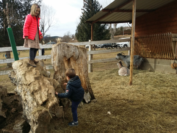 mmmp animales cerdanya resort