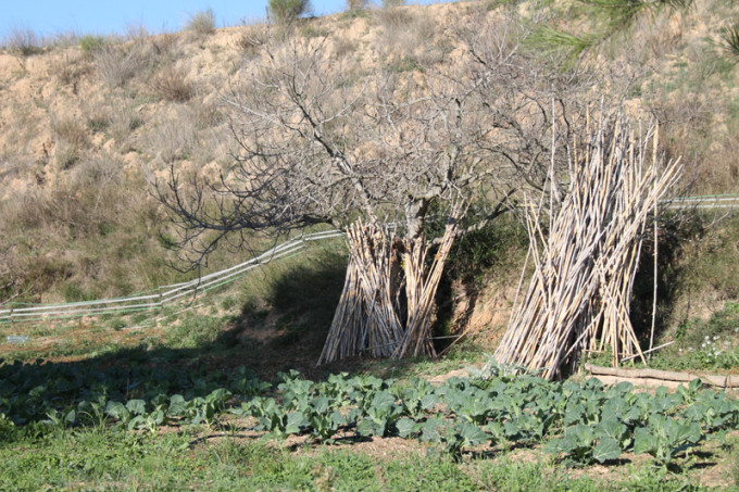 huerto masia can fatjo dels urons