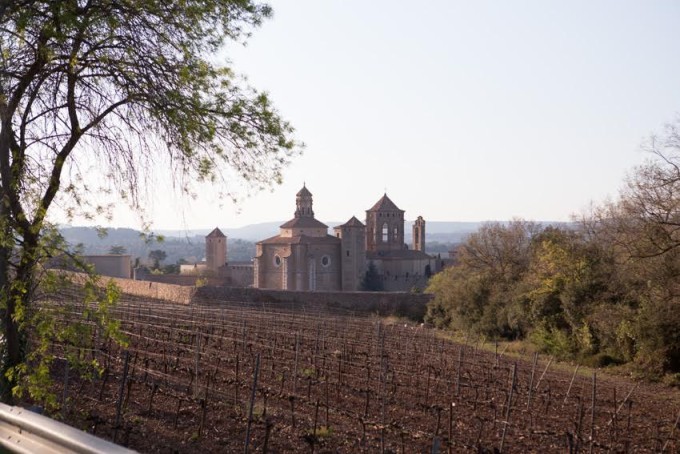 muntanyes-de-prades-mammalovescat-monasterio