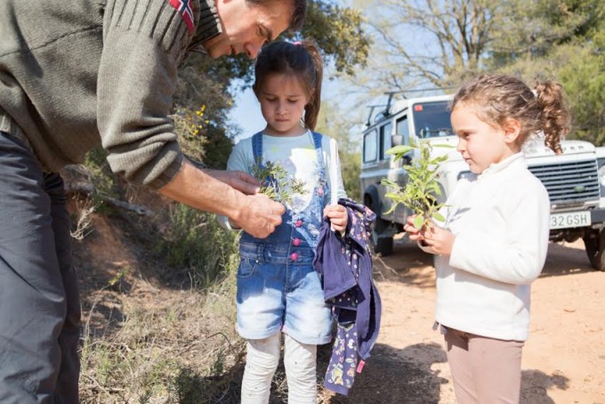 muntanyes-de-prades-mammalovescat-ruta-plantas-aromaticas