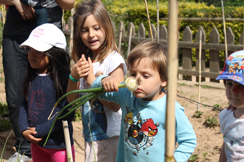 actividad huerto vilar rural