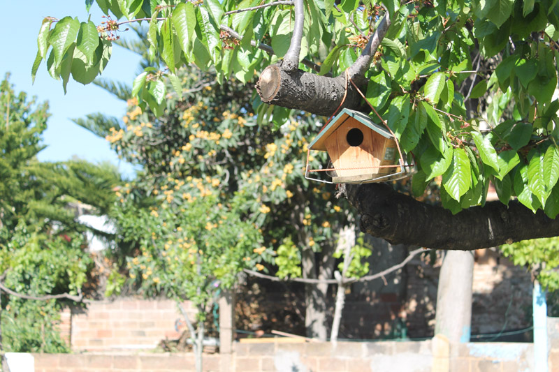 casita de pajaros