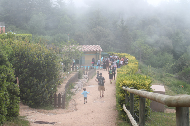 granja vilar rural