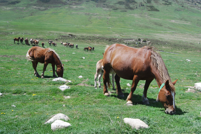 naturaleza-en-familia