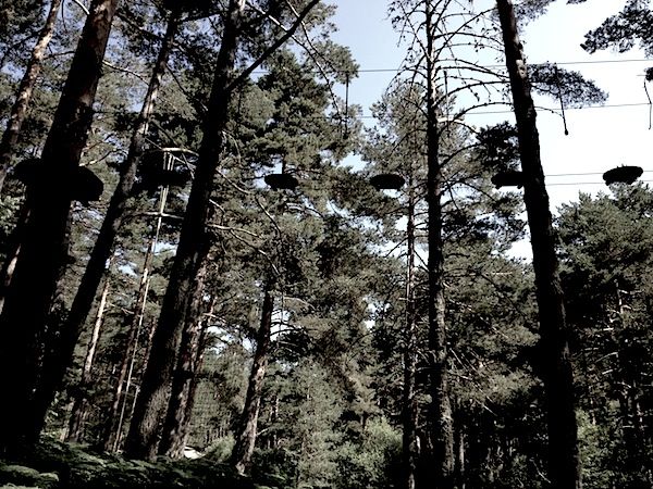 tirolinas-ecoparque-Cercedilla