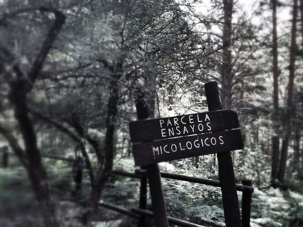 ecoparque-cercedilla