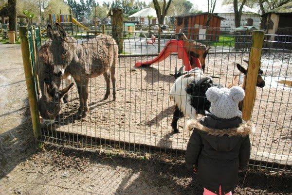 burdeos con niños