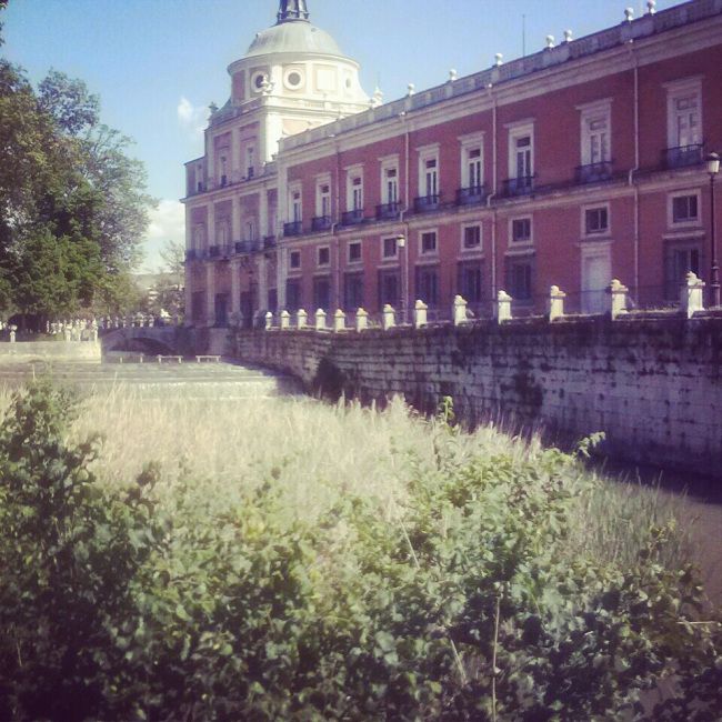 jardin del principe