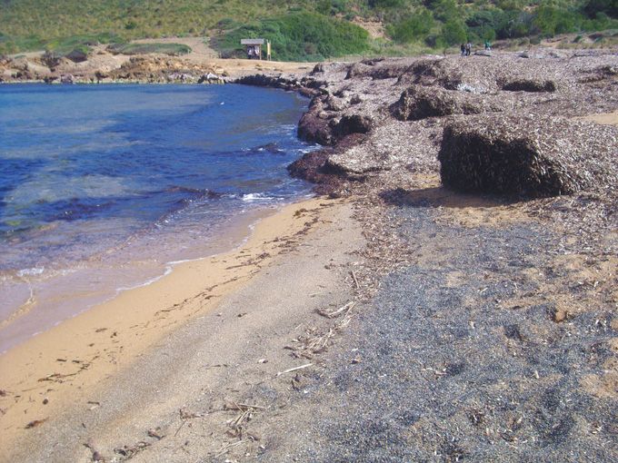 Playa de Binimela (2)