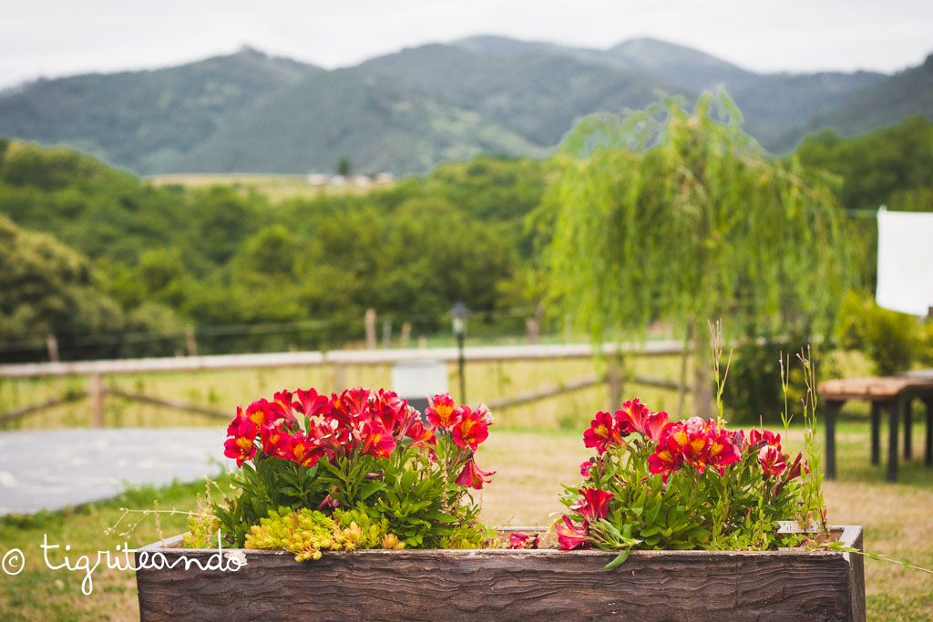 Casinas rurales Asturias