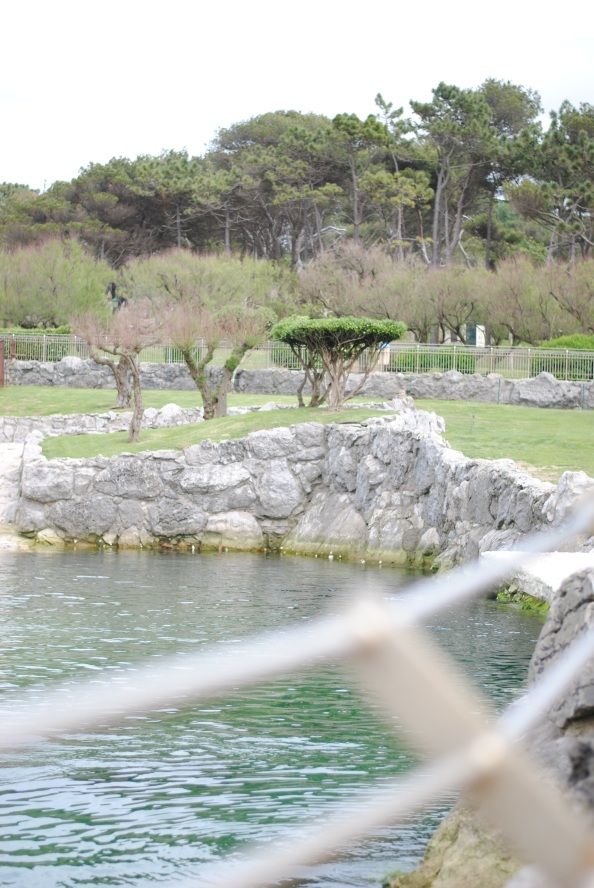 Escapada a Somo (Cantabria)