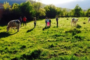 escapada familia sierra madrid